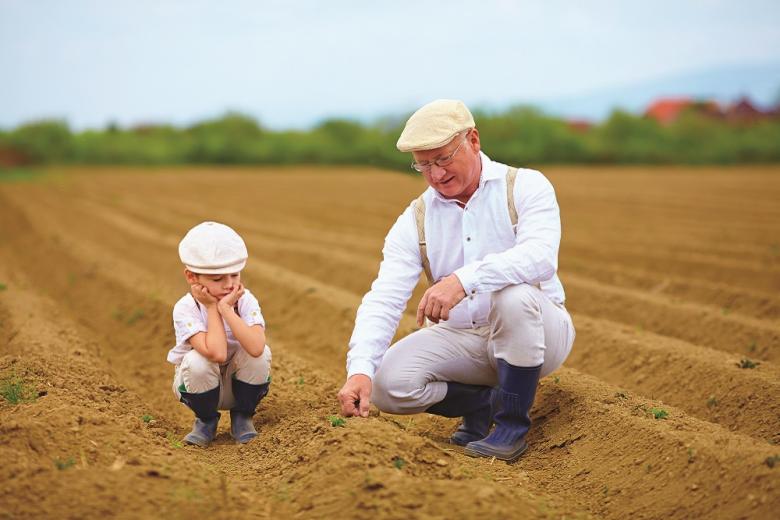 Госдума приняла законопроект о статусе сельхозпроизводителей